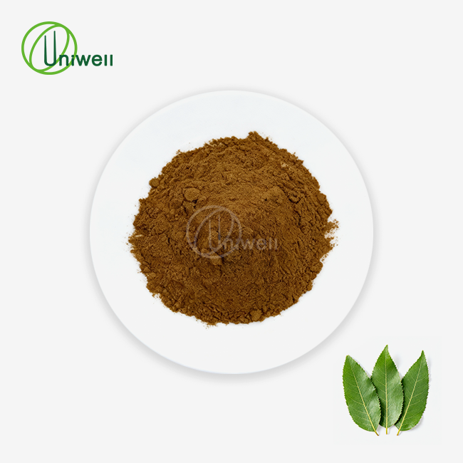 Senna Leaf Extract Powder